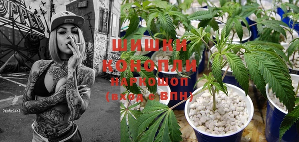 дурь Осинники