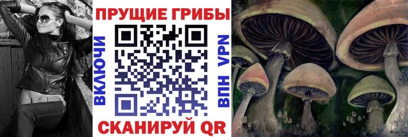 Галлюциногенные грибы Psilocybine cubensis Порхов
